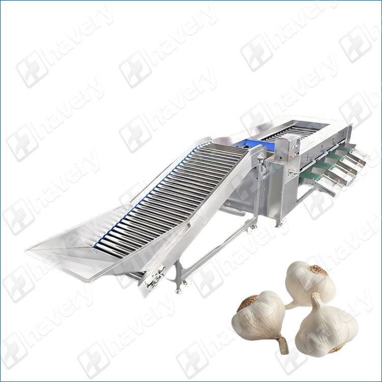 garlic bulb grading machine