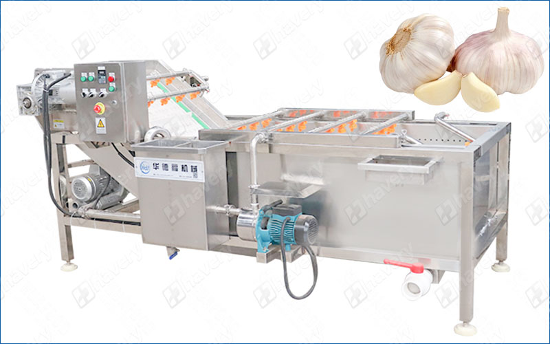 garlic cloves washing machine