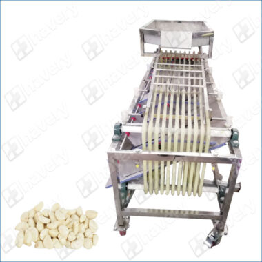 garlic cloves sorting machine