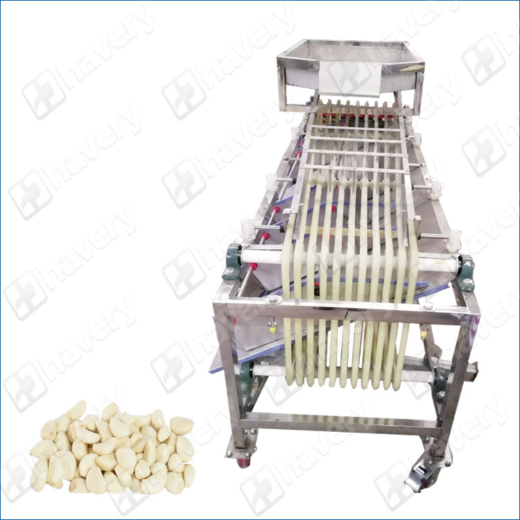 garlic cloves sorting machine
