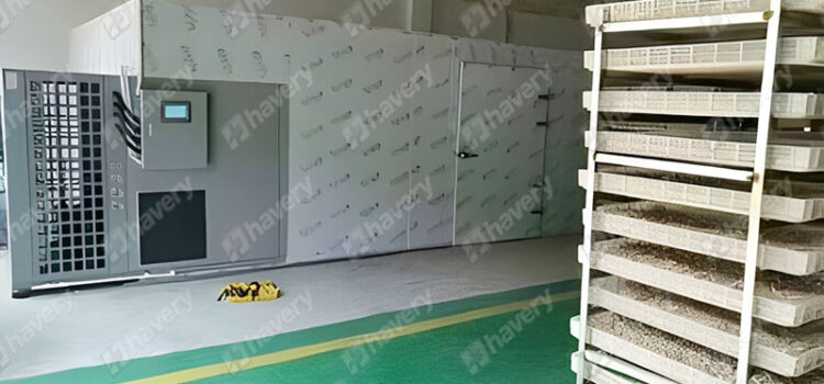 Garlic Dehydrator Temperature Garlic Dehydrator Temperature