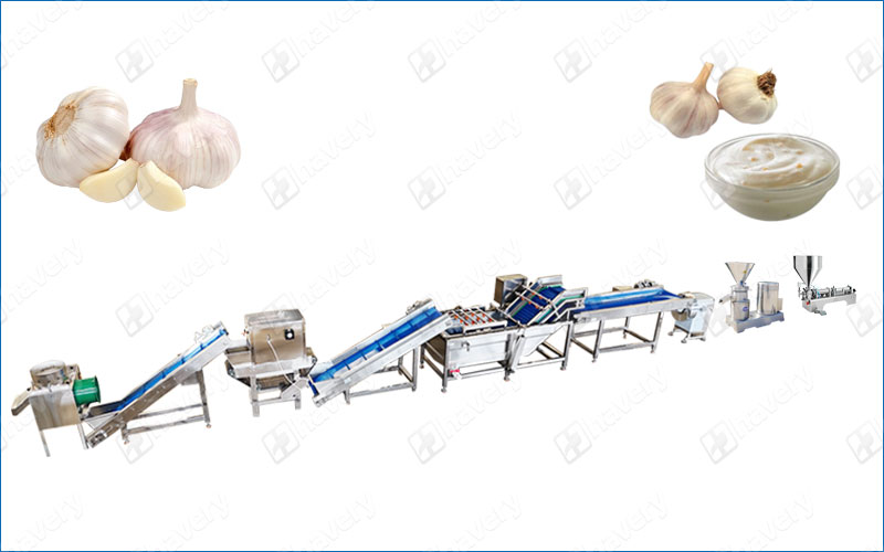 garlic paste production line