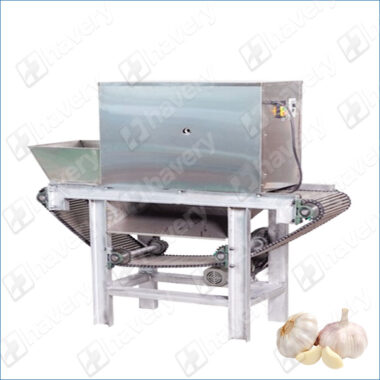 garlic peeling machine