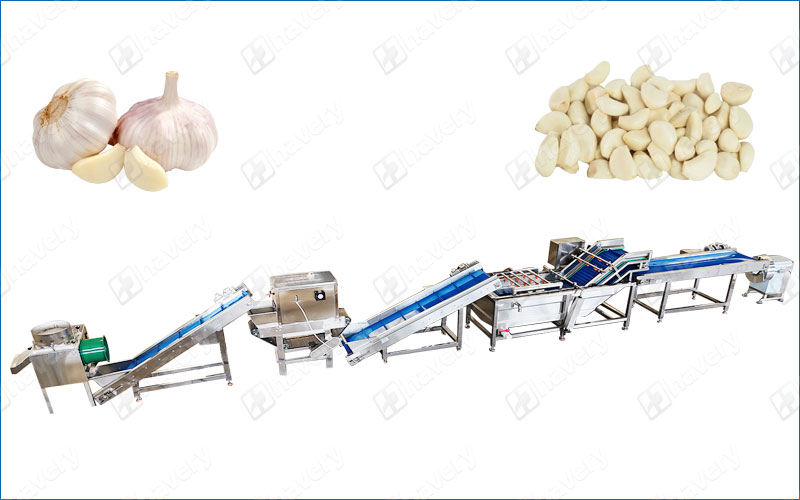 garlic peeling production line