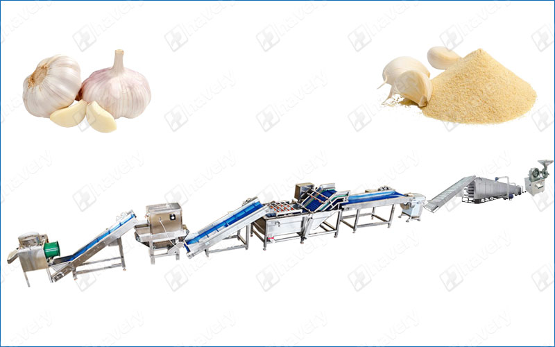garlic powder production line