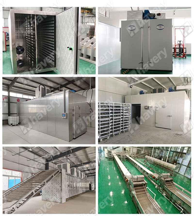 heat pump dryer details