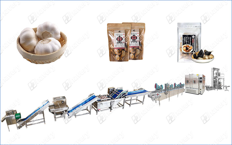 Black Garlic Fermentation Processing Machine