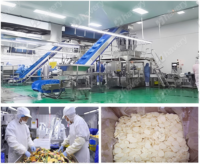 freeze dried garlic production details