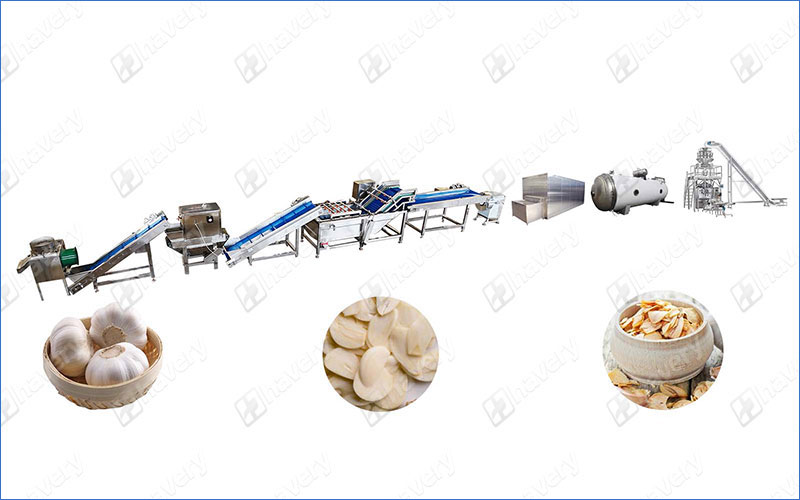 freeze dried garlic production line
