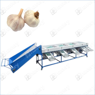 garlic bulb sorting machine