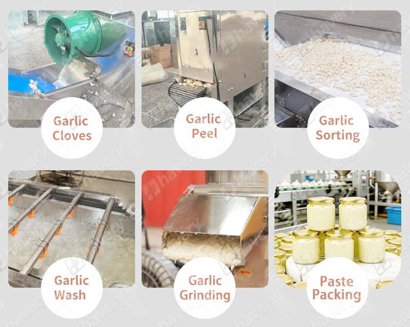 garlic paste work flow