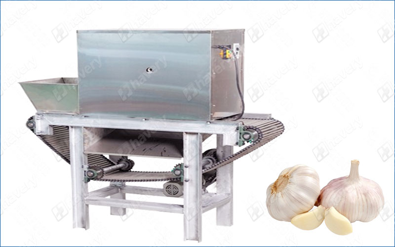 garlic peeling machine