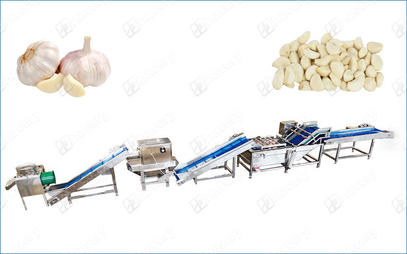 garlic peeling production line