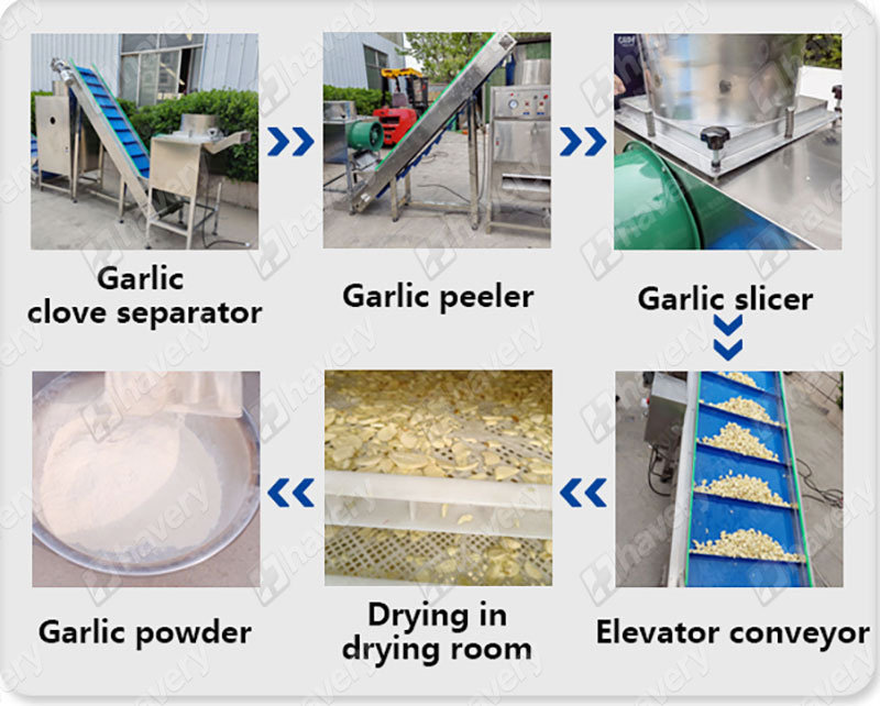 garlic powder production work flow