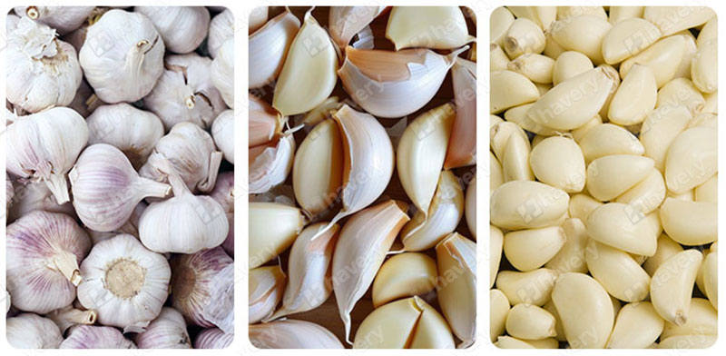 garlic process effect