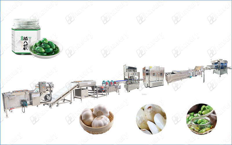 laba garlic production line