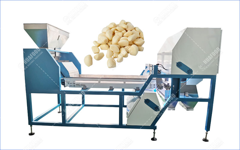 peeled garlic clove colour sorting machine