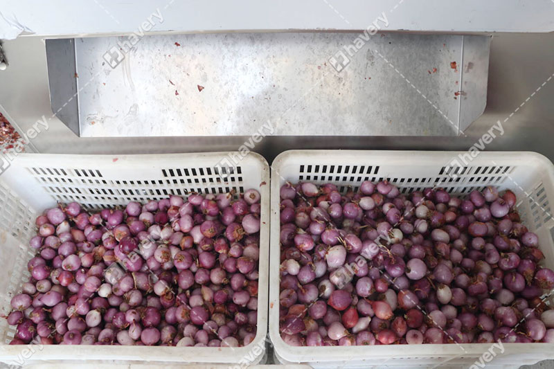 Stainless Steel Shallots Peeling Machine For Small Onion Skin Removing shallot peeling machine